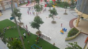 Không gian xanh trong trường MN Sen Hồng