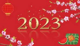 Hoạt động "Dọn nhà đón Tết" của các em bé sen Hồng chào xuân Quý mão 2023