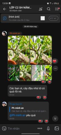 Hoạt động gói bánh chưng chào xuân Giáp Thìn 2024