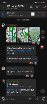 Hoạt động gói bánh chưng chào xuân Giáp Thìn 2024