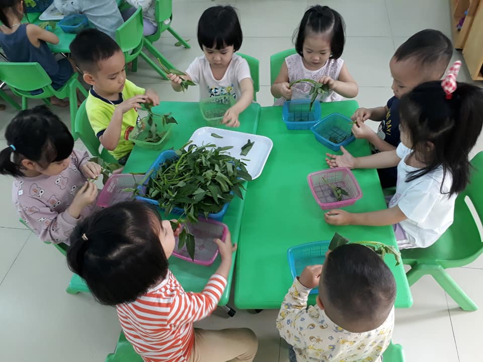 167196935 946444902769225 2668495567397046919 n